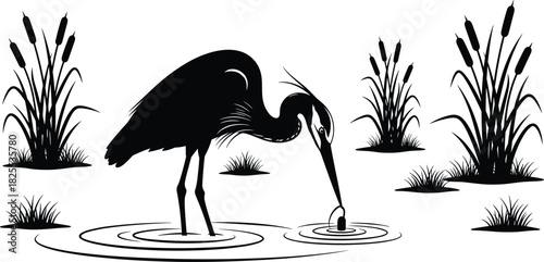 Silhouette of great blue heron hunting in marsh water with cattails, wetland bird nature landscape, vector illustration design isolated on white.