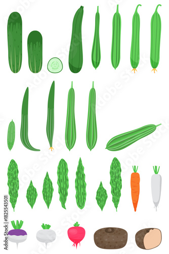 Fresh vegetables collection with different vegetable like turnip elephant yam ridge gourd cucumber radish carrot beetroot and more for cookbook and vegan food
