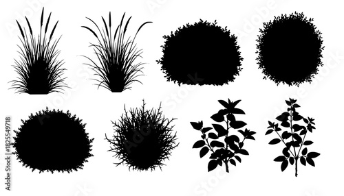 set of bush grass shrub herb silhouette vector transparent background	