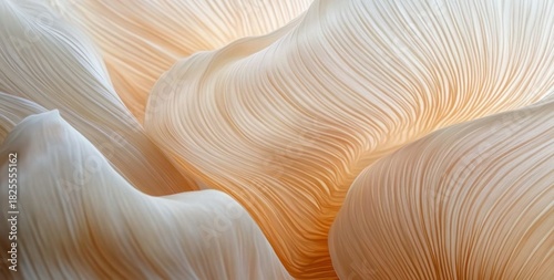 Close-up of delicate, flowing beige and creamy textured waves resembling soft fabric or natural formations with gentle lighting and smooth curves