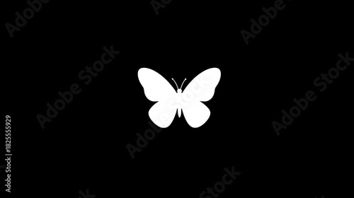 Elegant white butterfly silhouette isolated on a deep black background, a minimalist graphic design element and insect icon.
