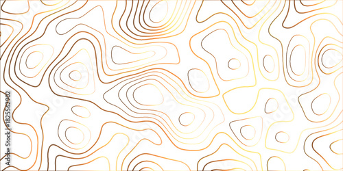 Topographic canyon geometric map relief texture with curved layers and shadow. abstract White background with a beautiful pattern, Topographic contour lines vector map seamless pattern vector.