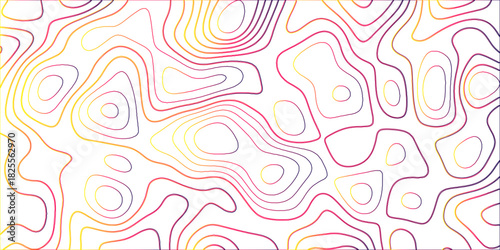 Topographic canyon geometric map relief texture with curved layers and shadow. abstract White background with a beautiful pattern, Topographic contour lines vector map seamless pattern vector.