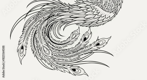 Detailed Line Art of a Mythical Phoenix Bird with Elaborate Feathers.