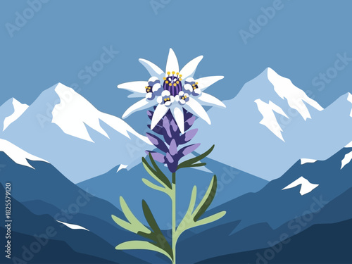 Illustration of a delicate edelweiss flower blooming in the foreground with a majestic snow-capped mountain range in the background under a clear blue sky