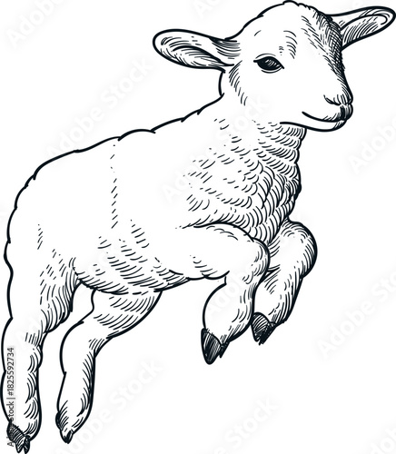 Vintage hand drawn sketch of jump sheep front