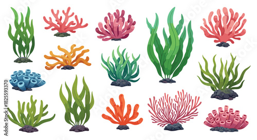 A diverse collection of colorful underwater plants, seaweeds, corals, and sponges illustrated on a white background.