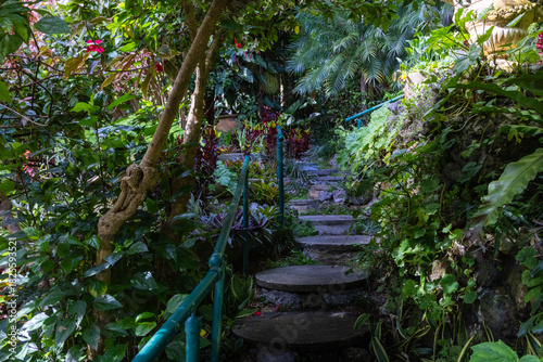 Nature Gardens in Barbados Caribbean
