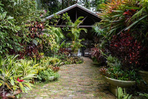 Nature Gardens in Barbados Caribbean
