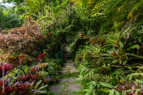 Nature Gardens in Barbados Caribbean
