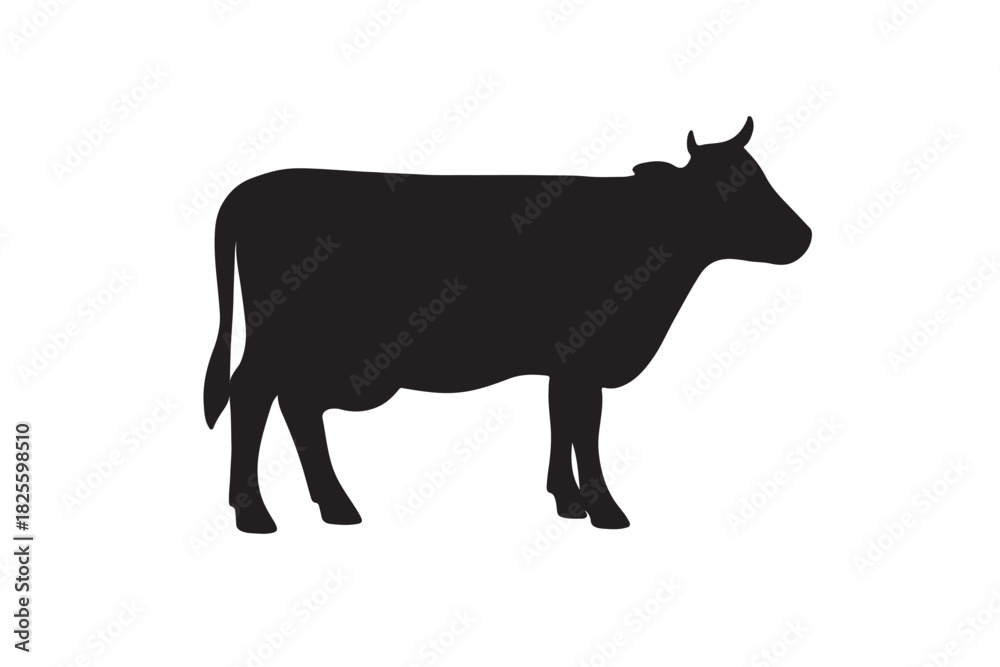 Fototapeta premium Black cow silhouette on white background livestock farm animal art
