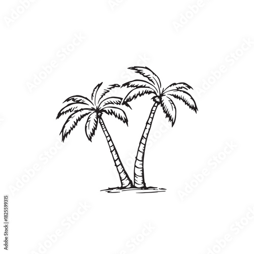 2 palm trees line art coastal holiday vibe