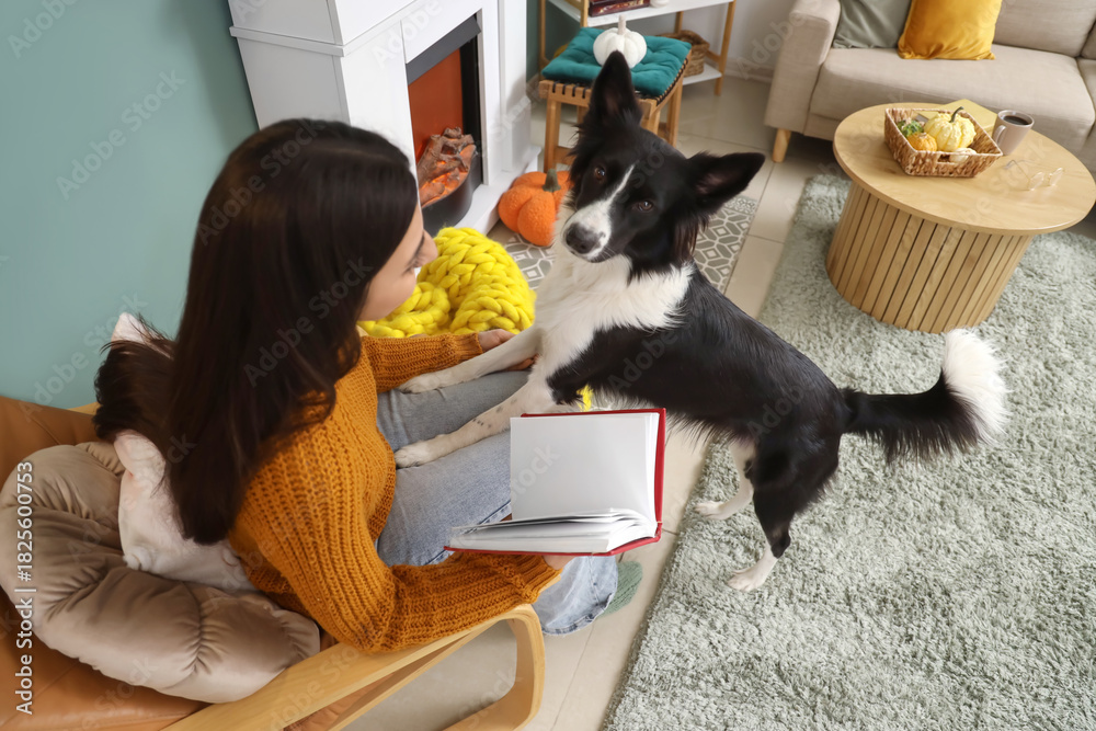 Naklejka premium Young woman with blank book in armchair and Border Collie dog at home on autumn day, top view