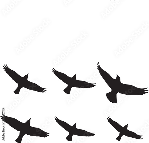 Silhouette of birds flying together in formation on white background