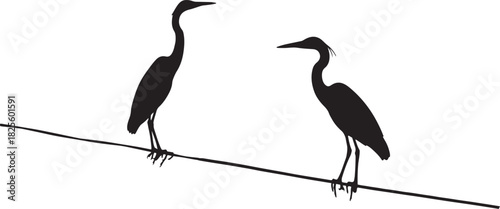 Two herons silhouetted on a branch against a white background