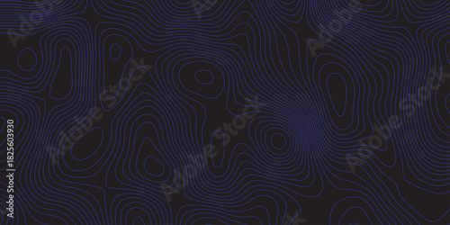 Abstract dark topographic pattern with flowing contour lines, organic curves, and subtle blue lighting. Modern, minimal, and atmospheric background ideal for technology, mapping, or design projects.