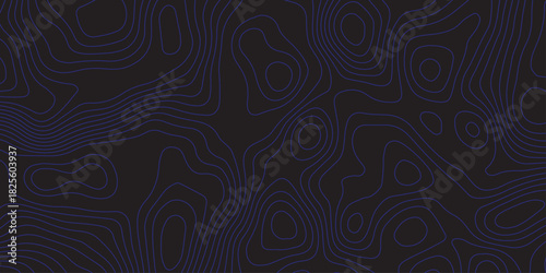 Abstract dark topographic pattern with flowing contour lines, organic curves, and subtle blue lighting. Modern, minimal, and atmospheric background ideal for technology, mapping, or design projects.