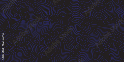 Abstract dark topographic pattern with flowing contour lines, organic curves, and subtle blue lighting. Modern, minimal, and atmospheric background ideal for technology, mapping, or design projects.