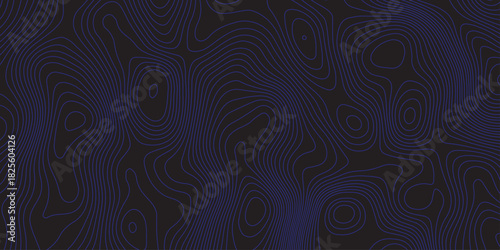 Abstract dark topographic pattern with flowing contour lines, organic curves, and subtle blue lighting. Modern, minimal, and atmospheric background ideal for technology, mapping, or design projects.