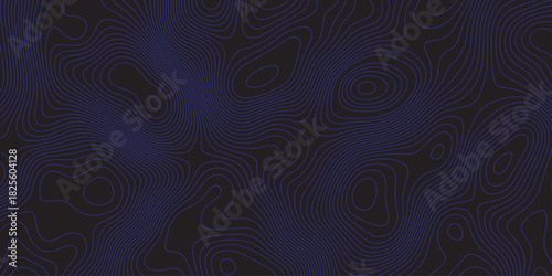 Abstract dark topographic pattern with flowing contour lines, organic curves, and subtle blue lighting. Modern, minimal, and atmospheric background ideal for technology, mapping, or design projects.