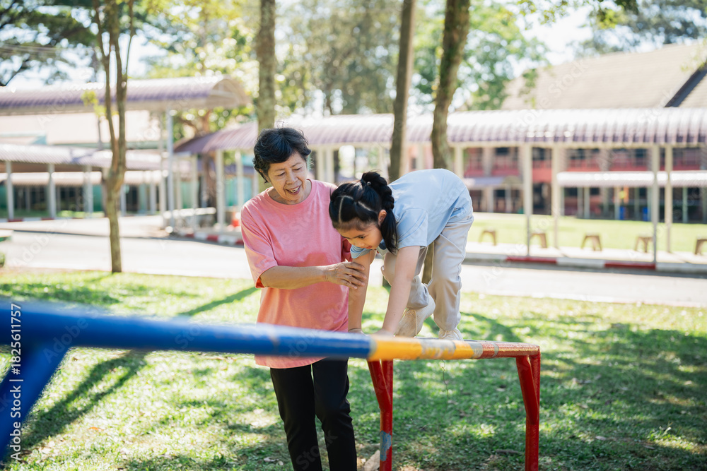 Fototapeta premium Joyful Interaction between Grandmother and Granddaughter at Playground with Bright Sunshine and Lush Greenery Creating a Warm Family Moment