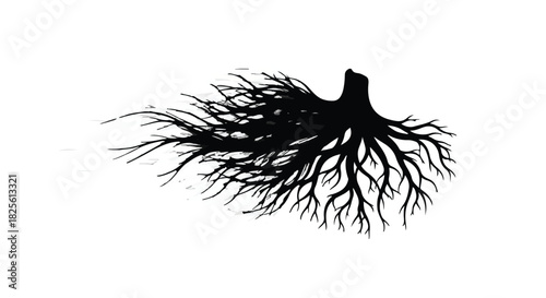 Intricate tree roots spread outward, symbolizing growth, connection, and organic structure