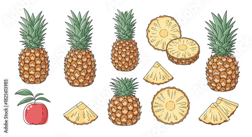 Hand-drawn illustration showcasing fresh whole pineapples, juicy round slices, and triangular wedges, with a small red apple, on a white background.