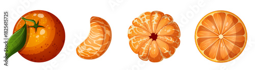 Collection of Whole, Sliced, Peeled, and Segmented Tangerine (Mandarin) Citrus Fruit, Isolated Elements for Food Packaging and Beverage Design. Overhead Vector Illustration