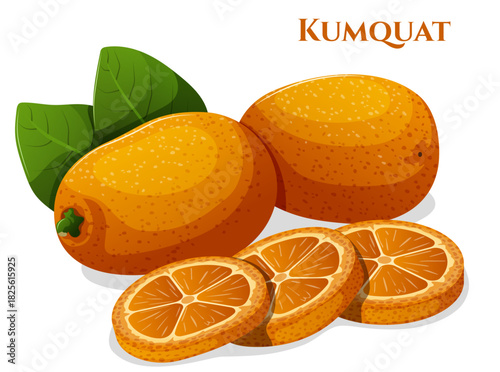 Sliced & Whole Kumquats with Leaves. Isolated Chinese Citrus Fruits Vector Illustration