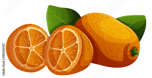 Kumquat Halved & Whole with Leaves Isolated. Chinese Citrus Fruit Isolated Vector Illustration