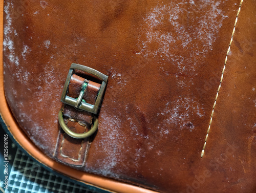 Close-up of mold growth on an old brown leather bag, showing white fungal patches and texture details. Useful for illustrating moisture damage, decay, and leather maintenance issues.