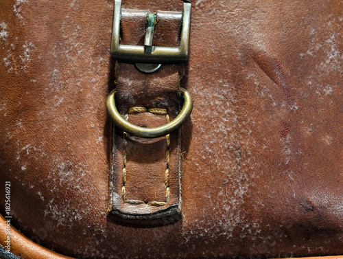 Close-up of mold growth on an old brown leather bag, showing white fungal patches and texture details. Useful for illustrating moisture damage, decay, and leather maintenance issues.