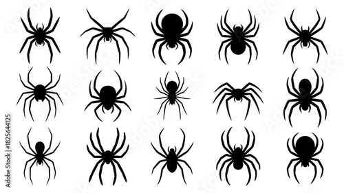 Spider set collection vector art. black silhouettes of various arachnids for halloween designs, vector elements, insect themes, and nature concepts.