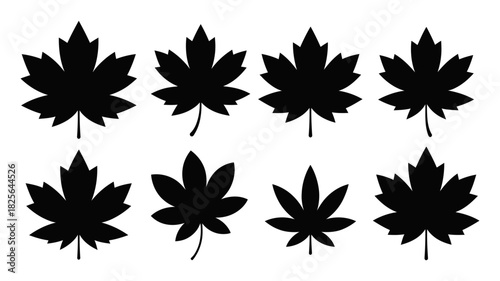 Diverse collection of black maple leaf silhouettes, an array of eight distinct foliage shapes for autumn, nature, canada, and design projects
