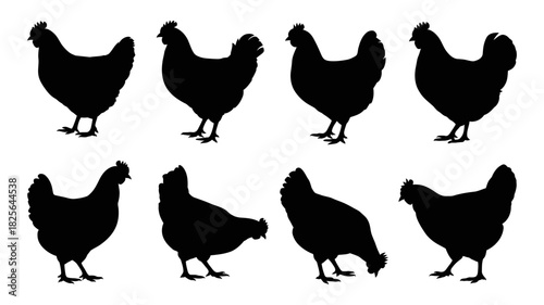 Collection of black chicken and hen silhouettes in various poses, including standing, walking, and pecking, isolated for farm, agriculture, and animal themes