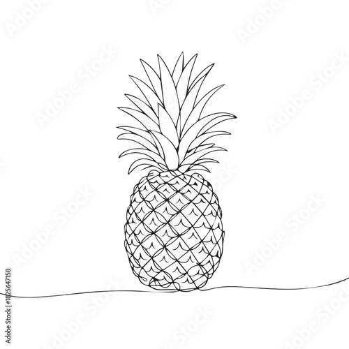 One continuous line illustration of an pineapple, isolated on white background.