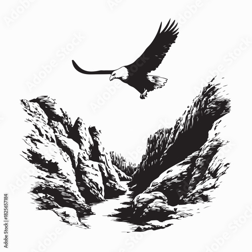 Eagle Soaring Above Rocky Cliffs and River Flow image vector