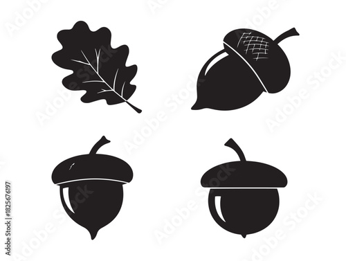 Stunning bold acorn silhouette set in vector style