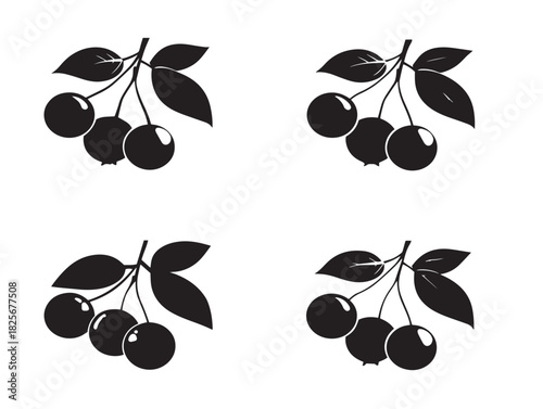 Beautiful berry cluster silhouette with elegant round shapes