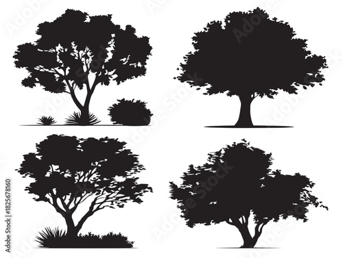 Stunning minimal bush illustration with gorgeous silhouette detailing
