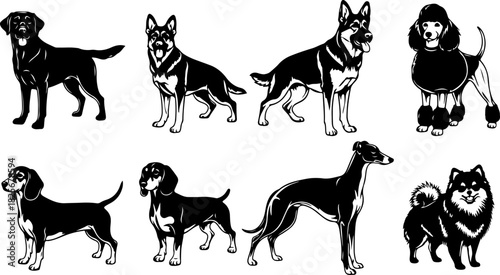 Running & Playing Dog Silhouette Set – Vector Pet Illustrations