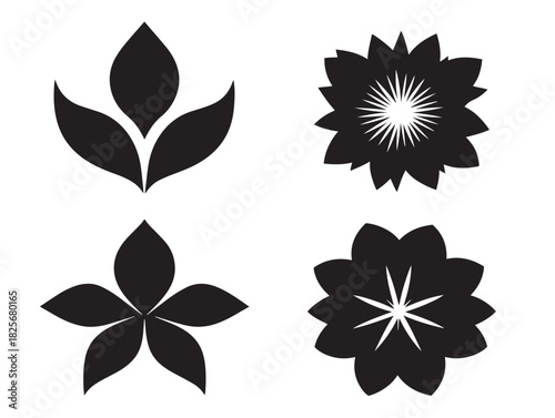 Beautiful flower petal silhouette icon in elegant vector illustration