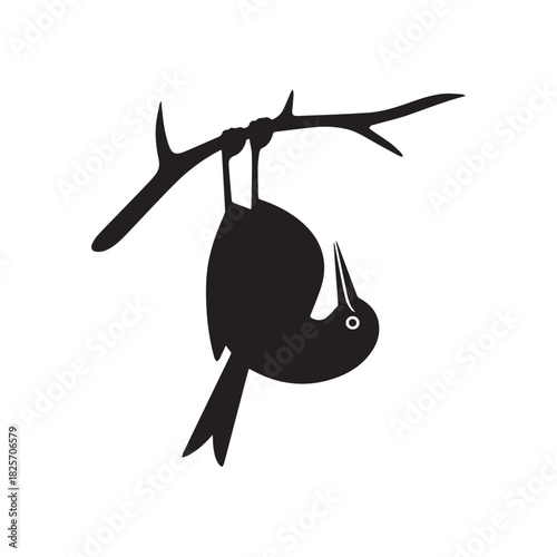 Black silhouette of a bird hanging upside down on a branch