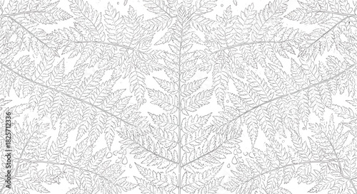 An abstract and symmetrical pattern of delicate fern leaves rendered in a monochrome line art style, creating a natural botanical wallpaper design.