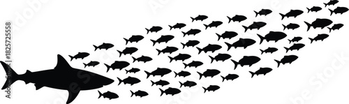 Silhouette of a large shark leading a school of small fish, teamwork leadership concept, underwater marine life vector illustration on white background