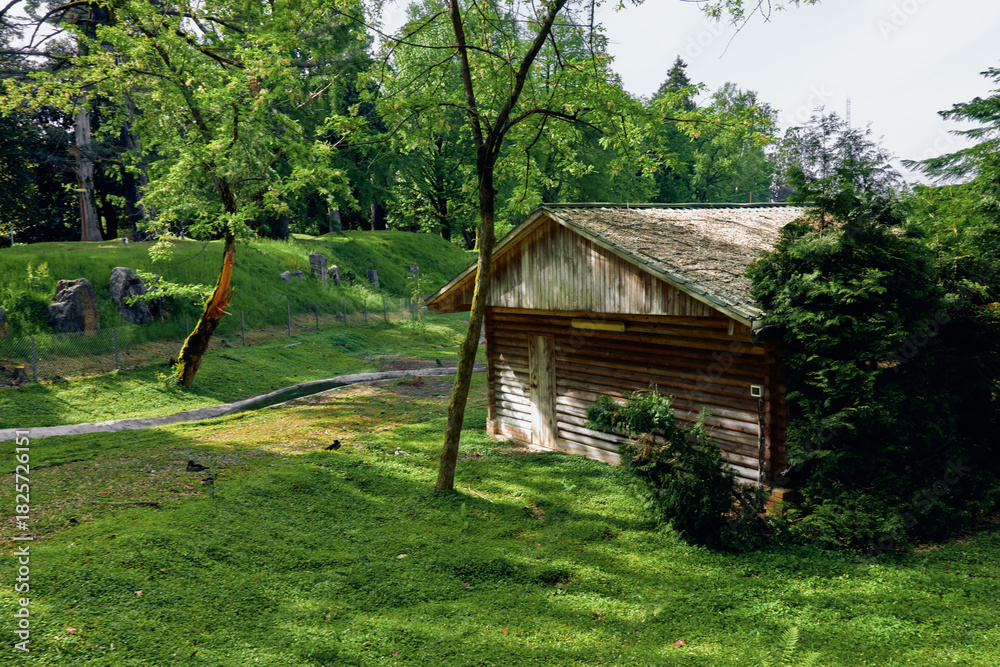 Fototapeta premium Cabin shed in a green park with grass and trees, wooden rustic structure amid lush greenery and shaded lawn, peaceful nature scene with sunlight and a winding path.