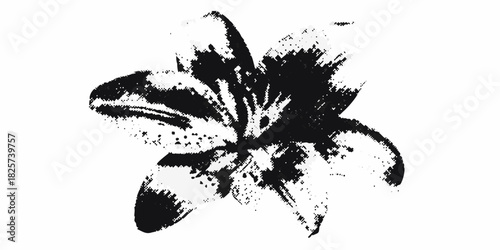 Abstract black and white lily flower with pixelated texture on white background