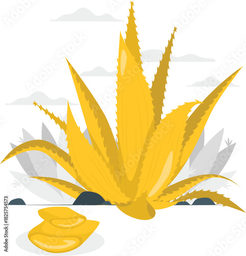 Yellow aloe vera plant with gel pieces