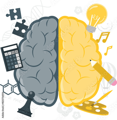 Brain hemispheres logic and creativity white