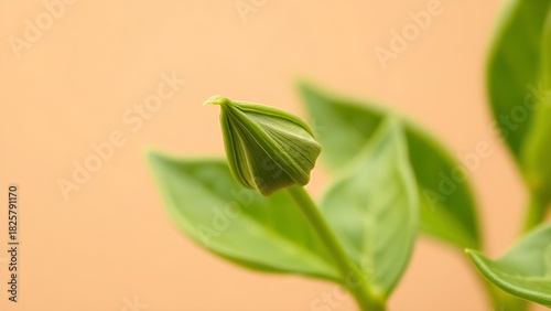 tenet. Fresh tea buds and leaves arranged naturally, showcasing vibrant green tones in soft light. bar promotions, beverage menus, designed for food & beverage menus and cafe branding.